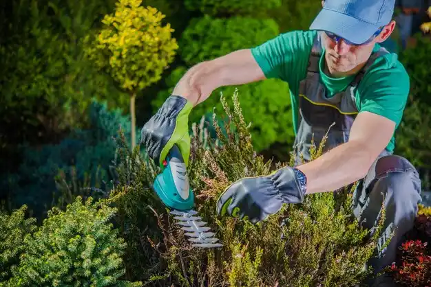 landscaping services Tannersville